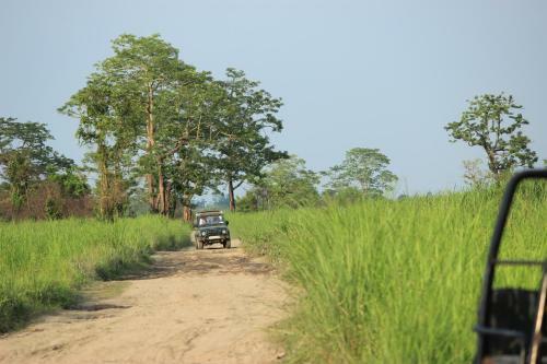 Bed & Breakfast Nature Hunt Eco Camp