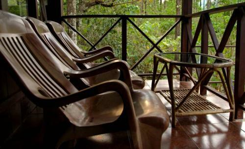 Hotel Jungle Retreat Wayanad