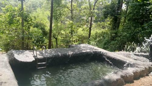 Hotel Jungle Retreat Wayanad