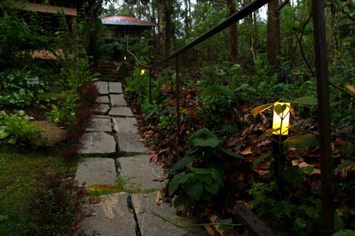 Hotel Jungle Retreat Wayanad
