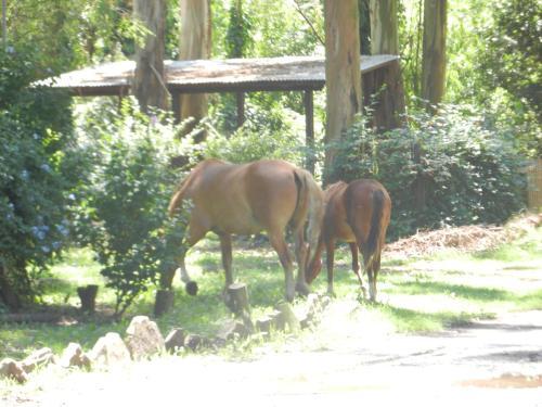 Lodge La Foret