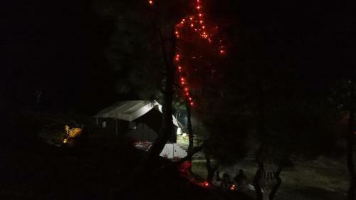 Camp Jungle Junction