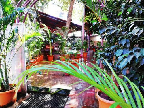 Hotel Veer Residency