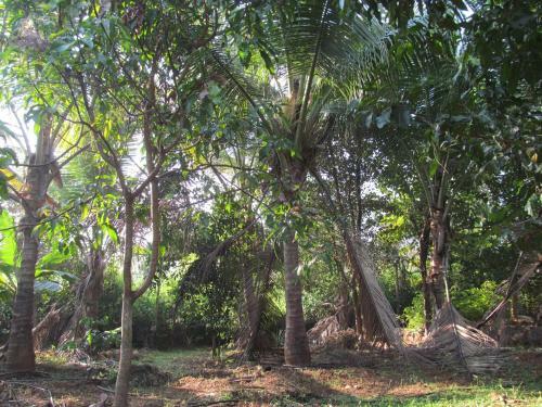 Hostal Vidya Konkan Agro Tourism