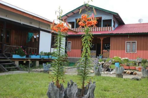 Vamoosetrail Ziro