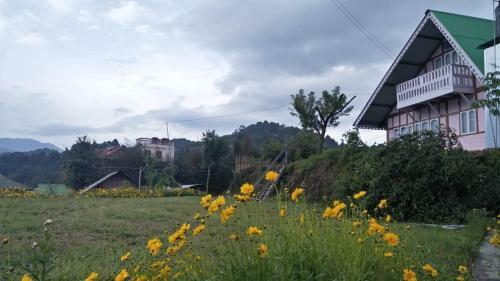 Vamoosetrail Ziro