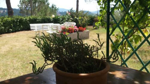 Apartamento Agriturismo Il Catrino