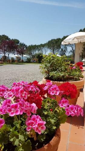 Apartamento Agriturismo Il Catrino