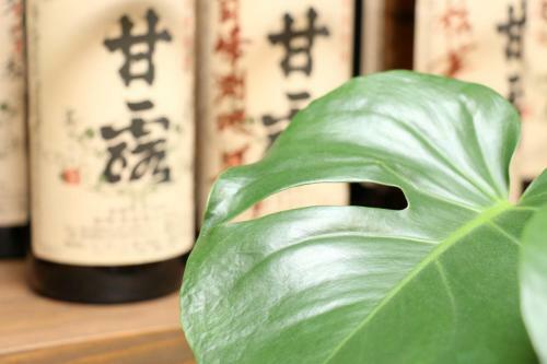 Ryokan Miharusou