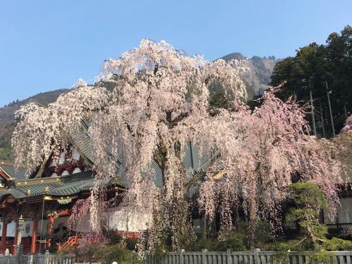 Tanakaya Ryokan