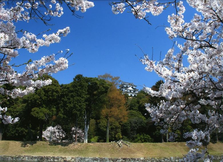Apa Hotel Hikoneminami