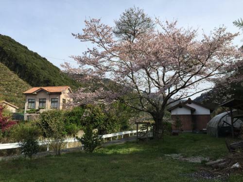 Hostal Yamaguchi Koukasha