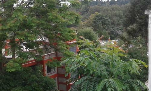 Apartamento Wilson Place