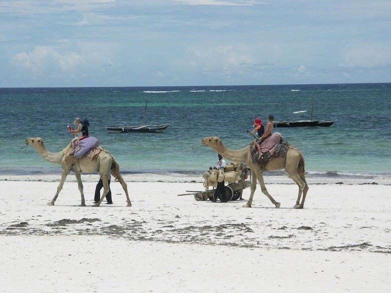 Hostal Diani House