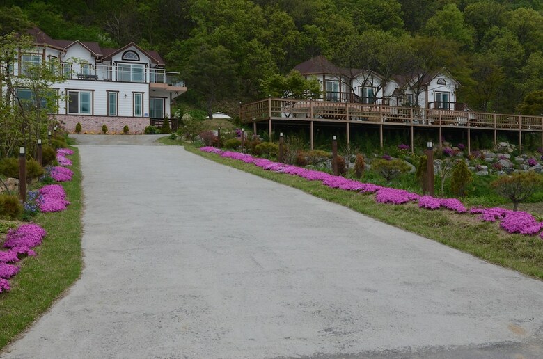 Forest Of Color Pension