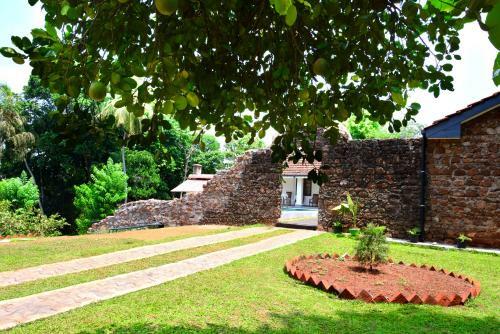 Hostal Paradise Forest Garden