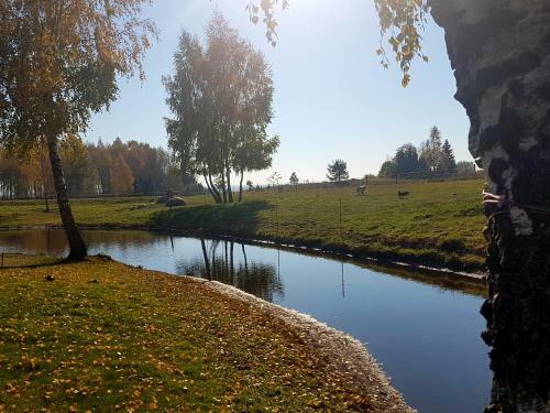 Hostal Villa Cheval