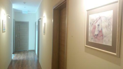 Hostal Villa Cheval