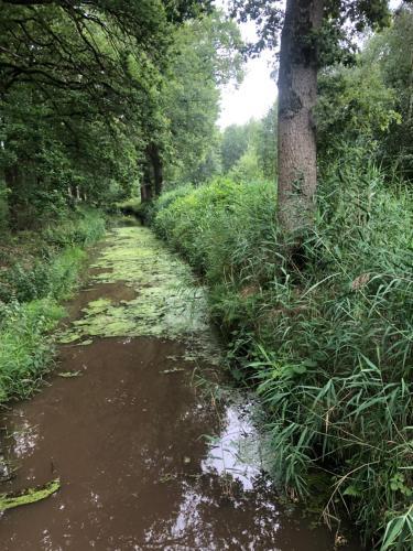 Streekpark Klein Oisterwijk