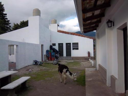 Hostal Nuestro Destino Bar & Hostel