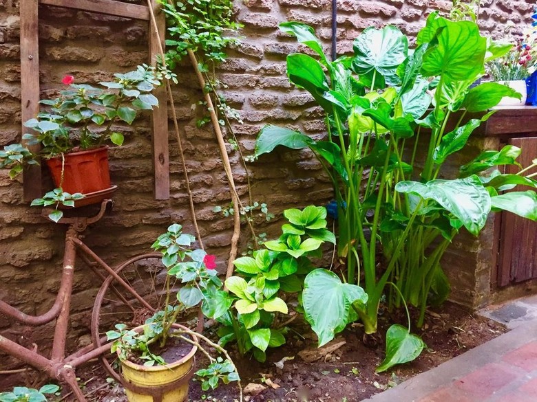 Bed & Breakfast Lina�s Tango Guesthouse