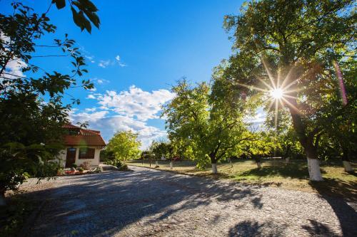 Hostal Go?ciniec Gryszczeni�wka