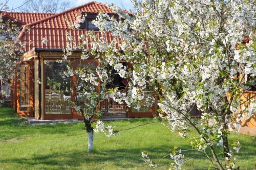Hostal Go?ciniec Gryszczeni�wka