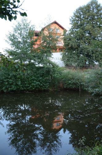 Hostal Pensiunea Laleaua Pestrita