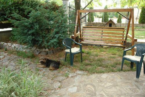 Hostal Casa Tomson