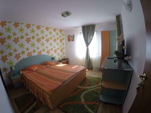 Hostal Pensiunea Laura