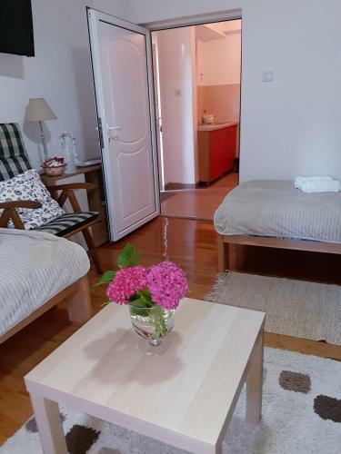 Apartamento Petrovi?