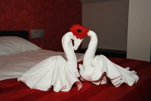 Bed & Breakfast Castelul De Smarald