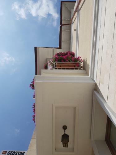 Hostal Pensiunea Geostar