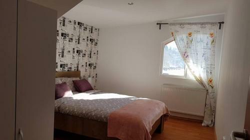 Prahova Valley Apartment