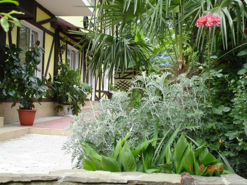 Hostal Millenium Guest House