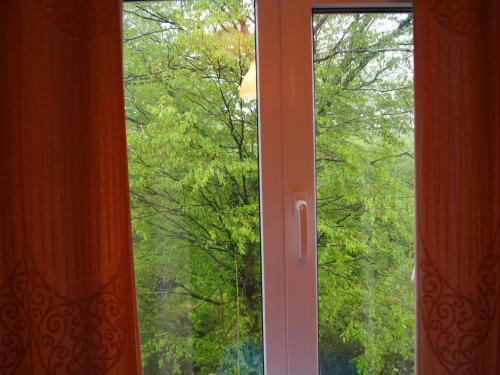 Hostal Bambuchok Guest House