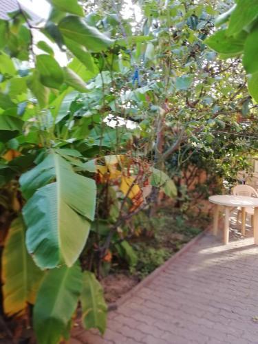 Hostal Guest House On Rechnaya 2