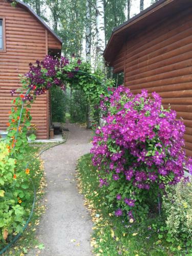Vacation Home Banka U Ivana