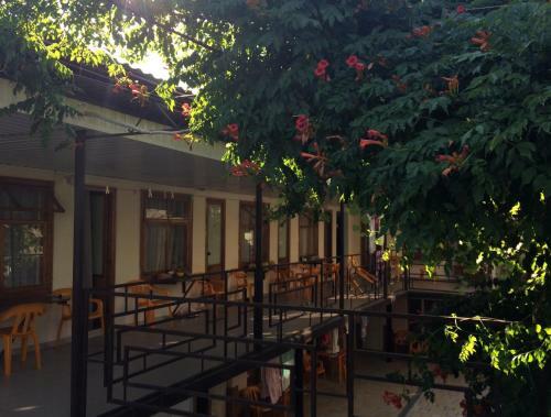 Hostal Tatiana Guest House