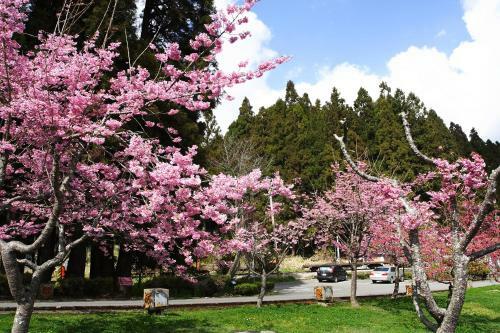 Hotel Alishan Youth Activity Center