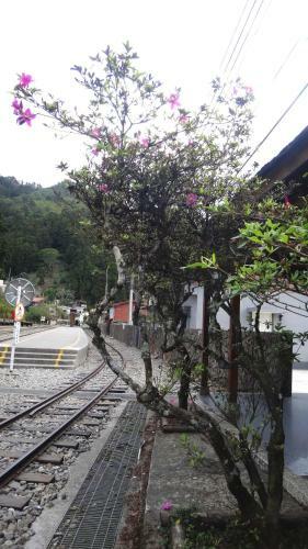 Fenchihu Street Hotel