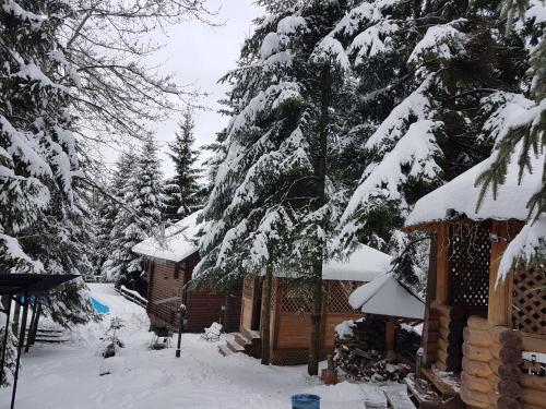 Lodge Gostynniy Dvir ????????
