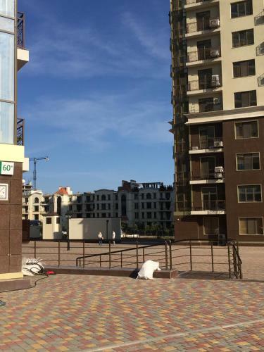Modern Apartment On French Boulevard