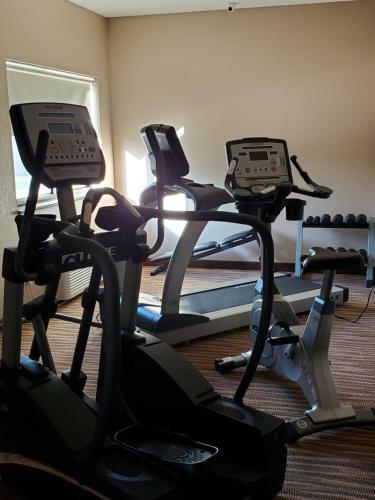 Hotel Cobblestone Inn & Suites - Clarion