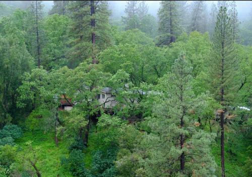 Lodge Yosemite Bug Rustic Mountain Resort