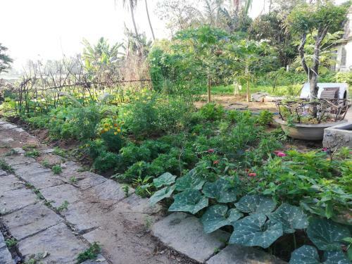 Villa Katie Homestay