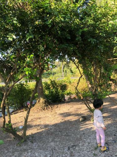 Hostal Thanh Tan Homestay