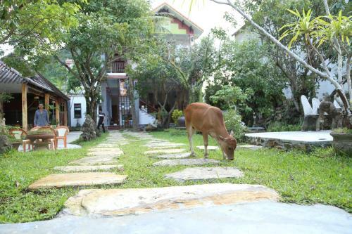 Phong Nha-tuan Garden House