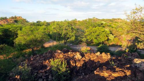 Awelani Lodge
