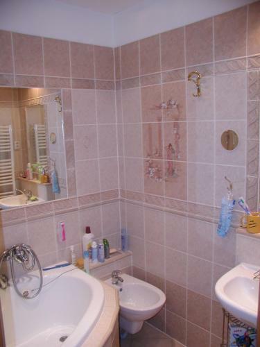 Apartment Mala Strana Petrinska
